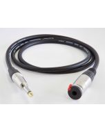 Extension speaker cable 1
