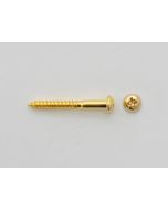 Tremolo schroeven Gold 6 st.