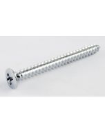GS-0005-010 Chrome Neckplate Screws