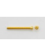 Humbucker schroeven Gold. 2 pcs
