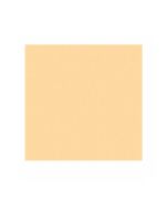 Pickguard material