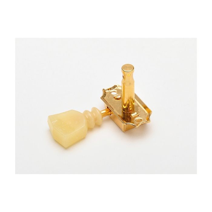 Kluson Double Line Tulip gold 3+3