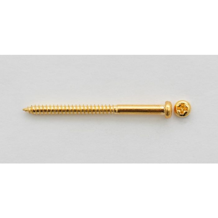 Bas pickup schroeven Gold 4st.