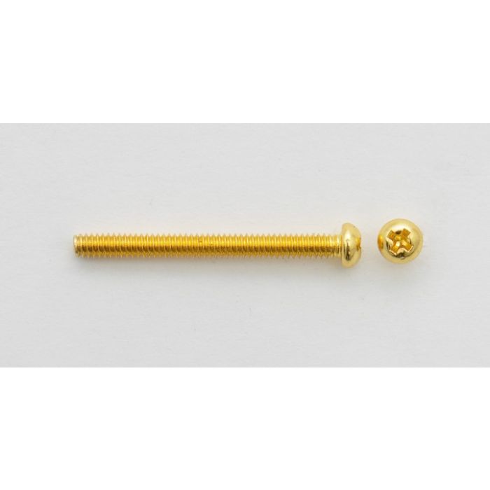 Humbucker schroeven Gold. 2 pcs