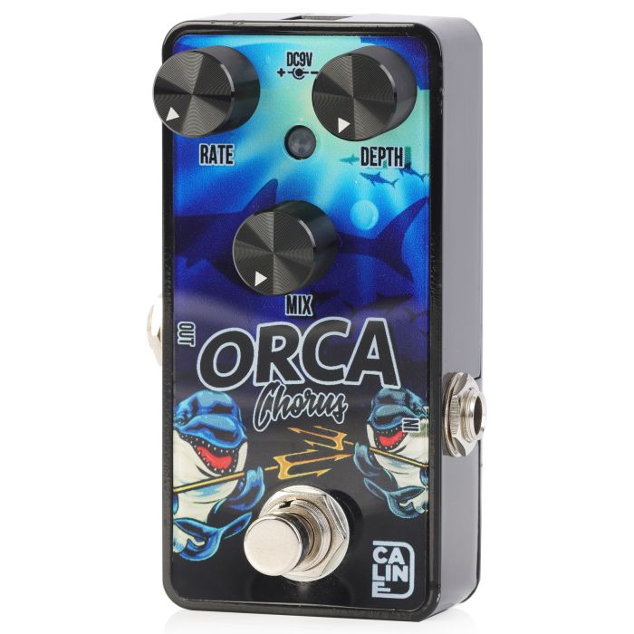 Caline G-003 Orca Chorus 