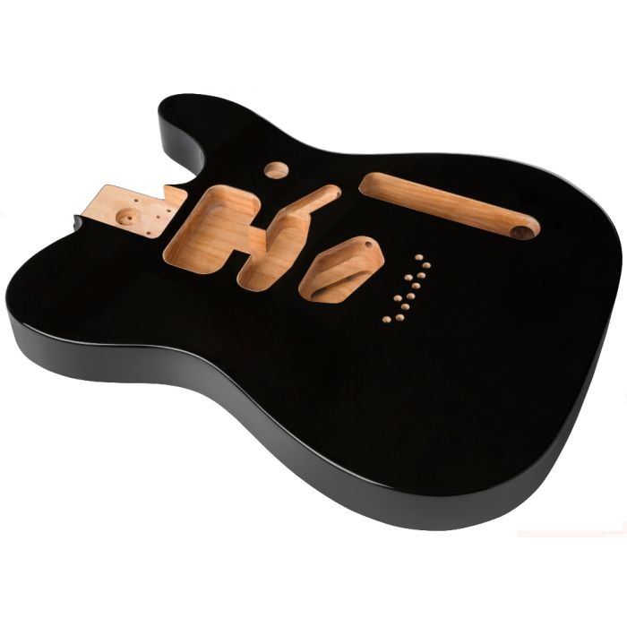 Fender T-Body Deluxe Alder black 