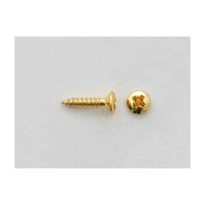 PG/MR Screw