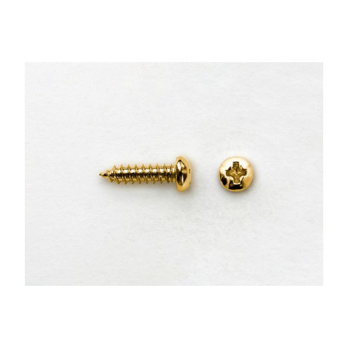 Bridge/Endpin Screw