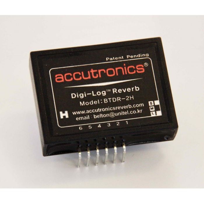 BTDR-2H (medium) Belton / Accutronics Digi-Log Reverb