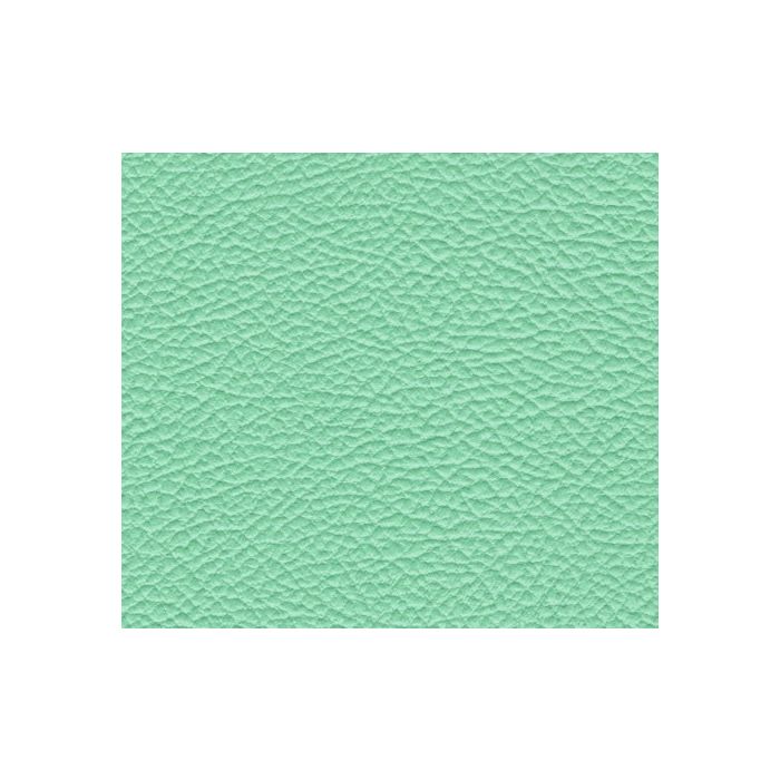 Tolex Seafoam Green SAMPLE