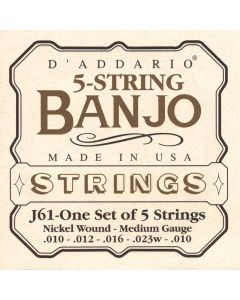 D'Addario snarenset 5-snarige banjo