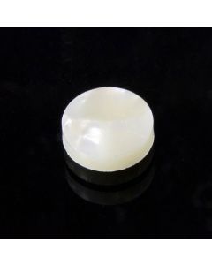 Allparts pearloid inlay dots