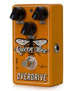 Caline CP-503 Queen Bee Overdrive