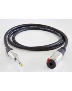 Extension speaker cable 1