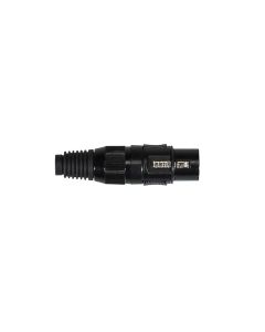 XLR plug