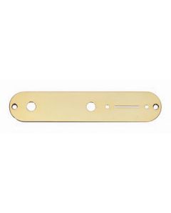 AP-0650-002 Gold Control Plate