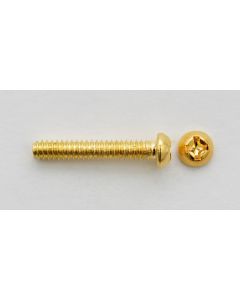 Schroeven voor Strat pickups Gold 6st