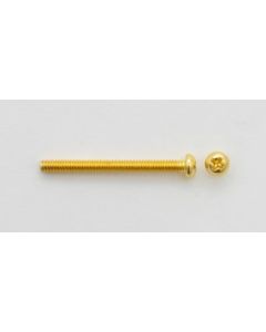 Humbucker schroeven Gold. 2 pcs