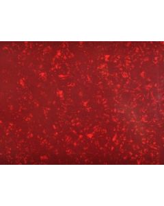 Pickguard Onb. 3 laags red pearl