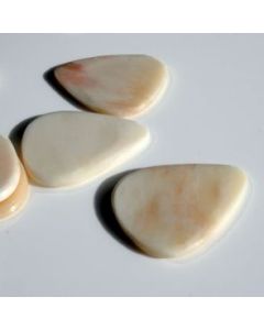 Bone Tones BO1 Buffalo Bone (1)
