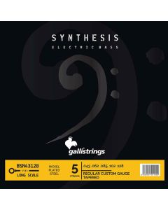 Galli Synthesis 5-string set electric bass, nickel and steel double winding, reg custom tapered, 043-062-085-102-12