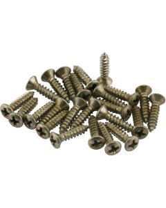 Fender® Roadworn Pickguard Screws