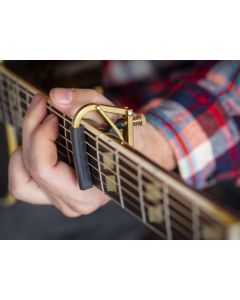 Shubb Capo C1b / Steel+Western brass