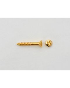 Bridge Screw 3