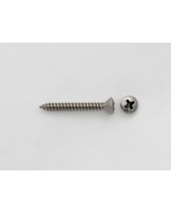 Bridge Screw 4