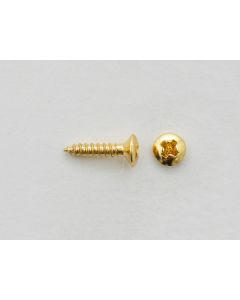 PG/MR Screw