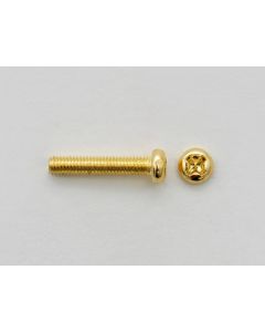 Screw M3x16 PU/Bridge