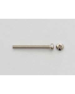 Tele Bridge Screw