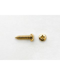 Bridge/Endpin Screw