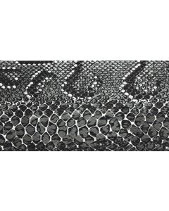 Tolex Marshall-Style Snake skin, SAMPLE